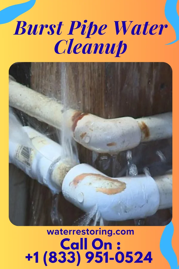 Burst Pipe Water Cleanup in Fort Chiswell, VA