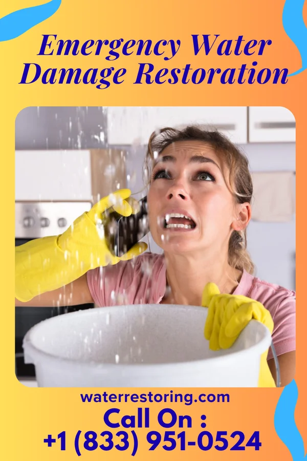 Emergency Water Damage Restoration in Fort Chiswell, VA