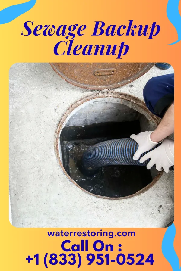 Sewage Backup Cleanup in Fort Chiswell, VA