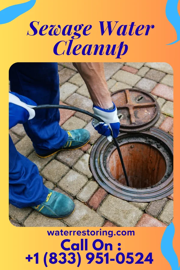 Sewage Water Cleanup in Fort Chiswell, VA