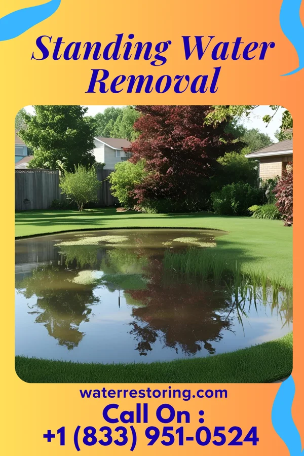 Standing Water Removal in Fort Chiswell, VA